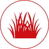 turf-logo